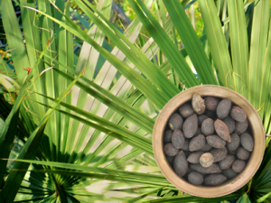 SawPalmetto in Prostasol