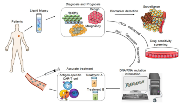 Liquid Biopsy Versus Traditional Tissue Biopsy - Integrative Cancer Care