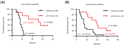 Abbildung 3. Gesamtüberleben von Patienten mit fortgeschrittenem Leber-oder Lungenkrebs behandelt mit allogenen gamma-delta (γδ) T-Zellen.