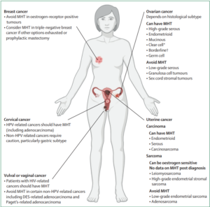 Figure 3. Contraindications and use of hormonal replacement therapy (HRT), also known as menopausal hormonal therapy (MHT), in female-specific cancers. Source: Hickey et al. (2024), The Lancet. Regarding lifestyle changes, the European Society of Human Reproduction and Embryology Guideline Group (ESHRE) emphasises the importance of adopting healthy habits to mitigate menopause-associated health risks, notably cardiovascular disease and osteoporosis. To support heart health, ESHRE strongly recommends smoking cessation, while weight-bearing exercises and calcium-rich diets are advised to maintain bone density to prevent fractures. Non-hormonal pharmacological therapies involve using neurotransmitter-modulating drugs (e.g., antidepressants and neurokinin-3 receptor antagonists) to alleviate temperature-related symptoms in menopause, such as hot flushes and night sweats. These symptoms result from a dysregulated thermoregulatory centre in the brain, caused by reduced oestrogen signalling. By targeting neurotransmitters involved in this thermoregulation process, these drugs can help restore balance and mitigate temperature-related symptoms of menopause. Non-pharmacological approaches include behavioural interventions and complementary therapies. Cognitive behavioural therapy and mindfulness training have been shown in clinical trials to reduce the severity of hot flushes, sleep disturbances and mood swings in menopausal women. Plant-derived compounds have also gained popularity as a complementary therapy to manage menopausal symptoms. For example, phytoestrogens are oestrogen-like compounds from plants, which can mimic the effects of oestrogen and offer symptomatic relief. Clinical trials have supported the effects of soy phytoestrogens in mitigating the severity and frequency of hot flushes in women undergoing natural or therapy-induced menopause. 