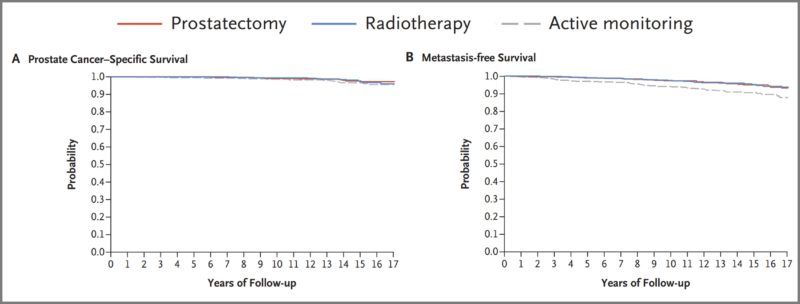 Figure 2. The impact of androgen deprivation therapy (ADT) on prostate cancer and brain health.