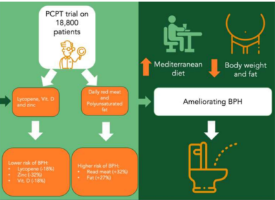 Figure 1. Sites of action of androgen deprivation therapy (ADT) on testosterone production