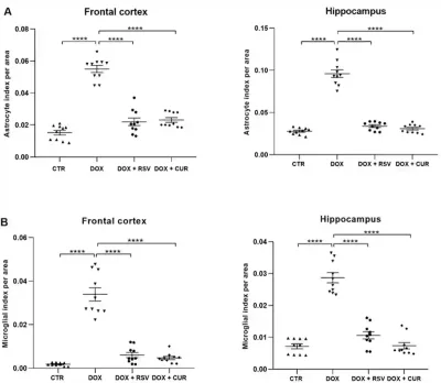Figure 3. Effects of resveratrol (RSV) and curcumin (CUR) in alleviating brain inflammation induced by the chemotherapeutic agent, doxorubicin (DOX). 