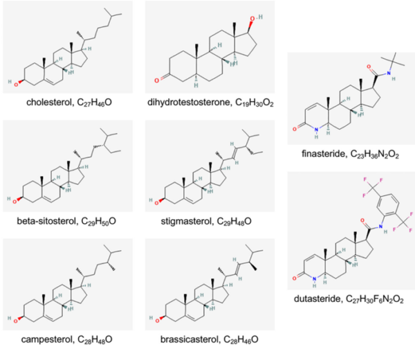 Figure 1. Molecular structure of cholesterol, dihydrotestosterone (DHT), phytosterols (i.e., β-sitosterol, stigmasterol, campesterol and brassicasterol) and pharmaceutical 5α-reductase inhibitors (i.e., finasteride and dutasteride).