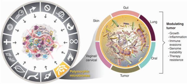 Abbildung 1. Polymorphe Mikrobiome werden heute als eines der 14 Kennzeichen von Krebs anerkannt.