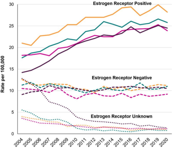 Figure 2. Incidence rates of early-onset breast cancer (diagnosed between 25 to 39 years) by oestrogen receptor status in the U.S.