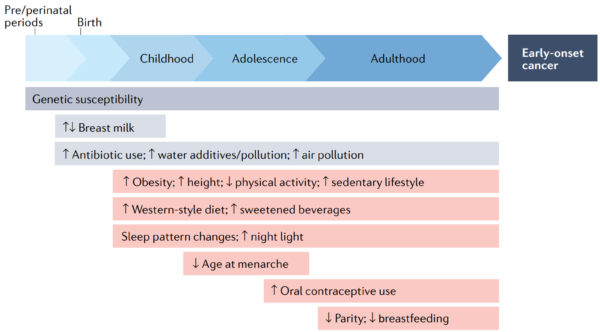 Figure 3. How life experiences and exposures may contribute to early-onset cancer.