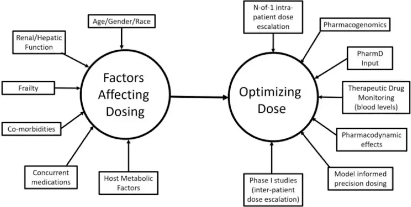 Figure 1. Cancer drug metabolism and dosing are influenced by many patient-specific factors, including age, sex, race, organ function, frailty, co-morbidities, metabolism and other medications